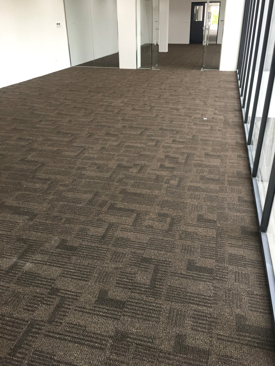 Alpha 209 Thực tế 2