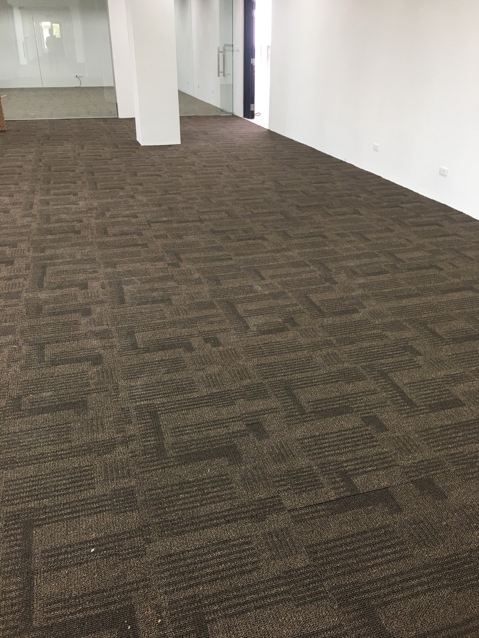 Alpha 209 thực tế